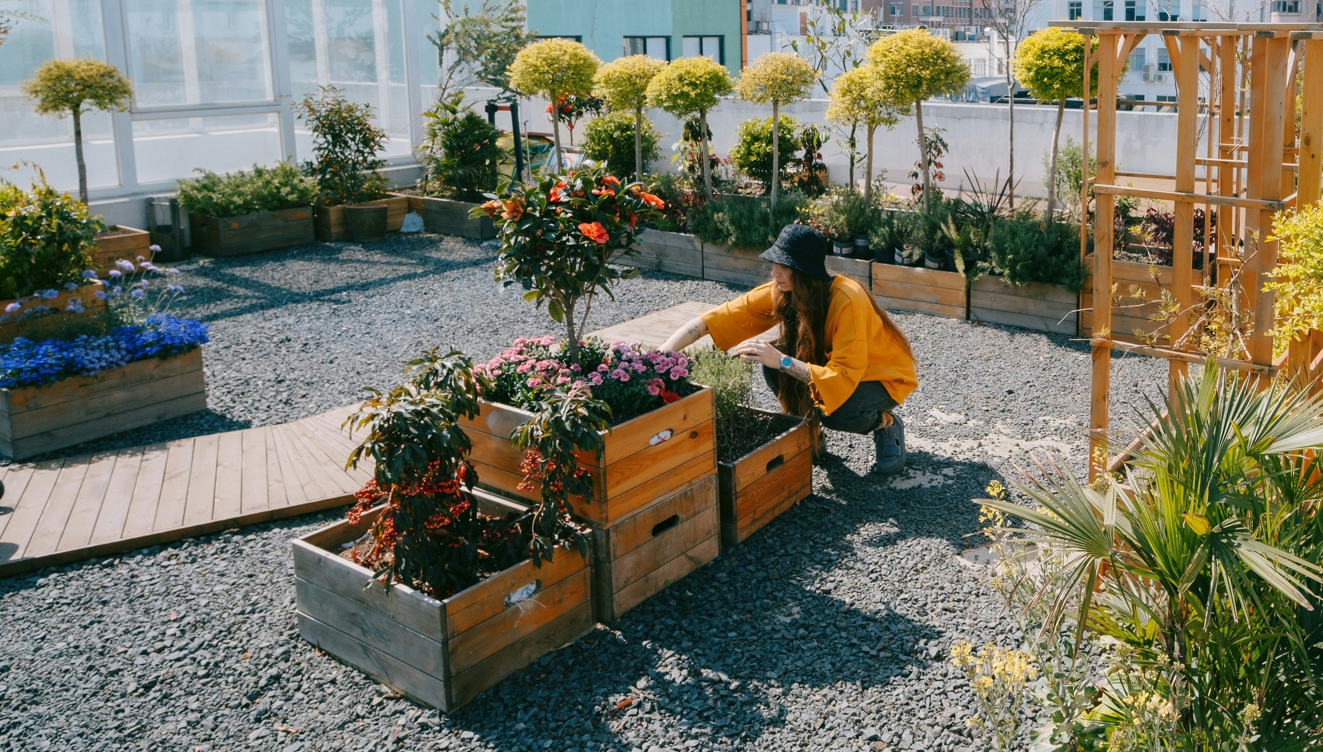 Community garden